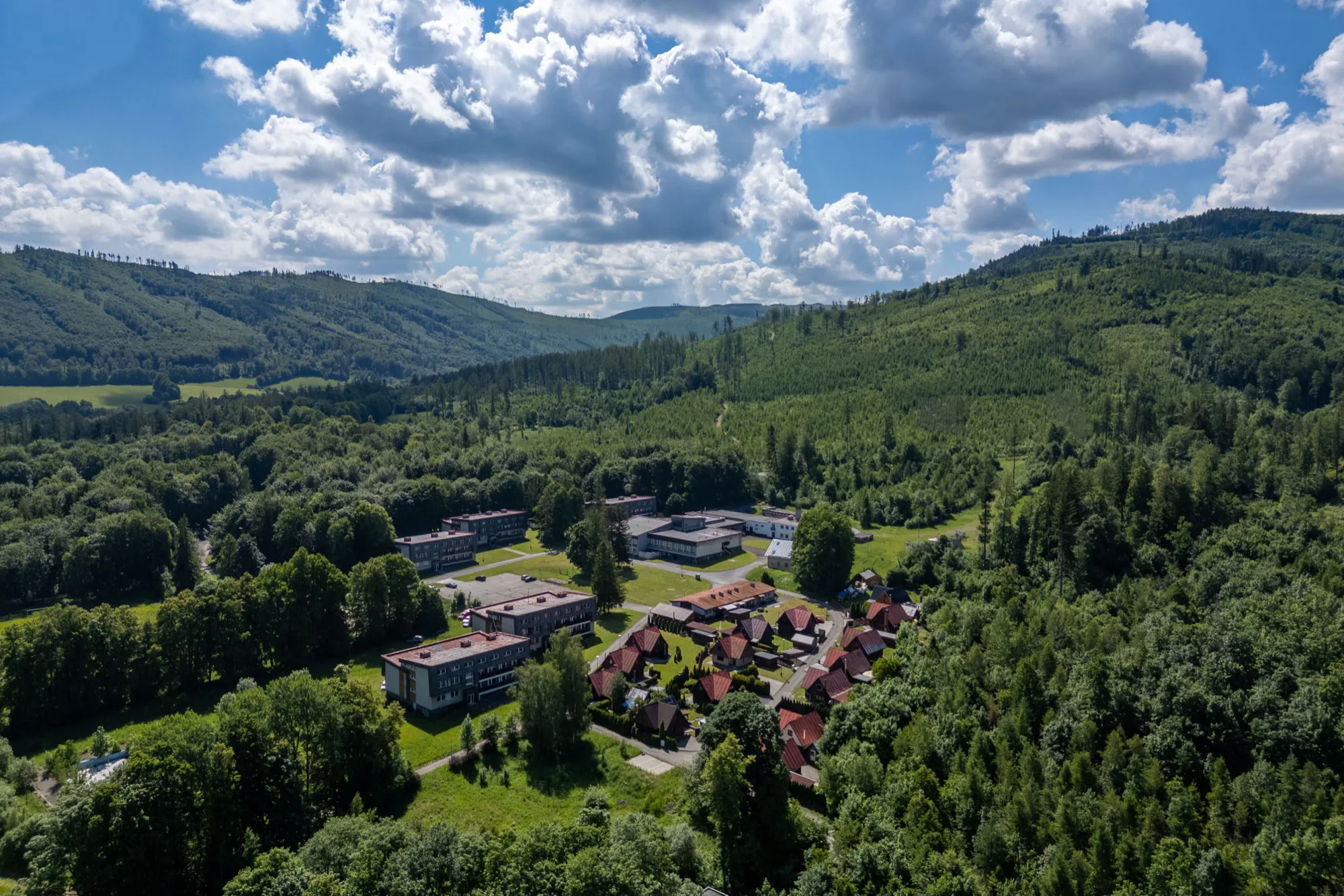 Zalesněná krajina v okolí areálu