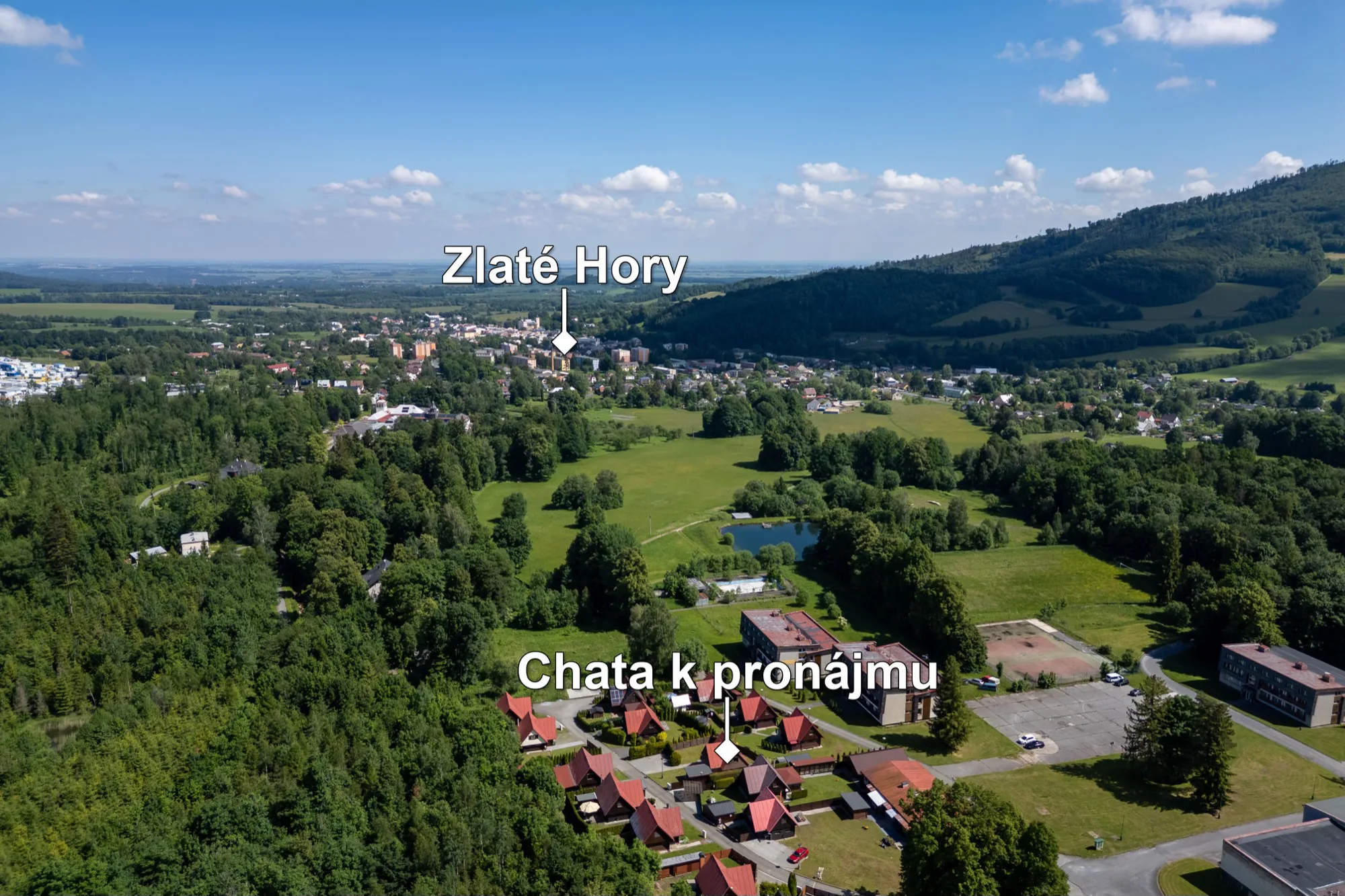 Lesní porost nedaleko areálu